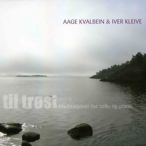 有免费的成人av在线网站
